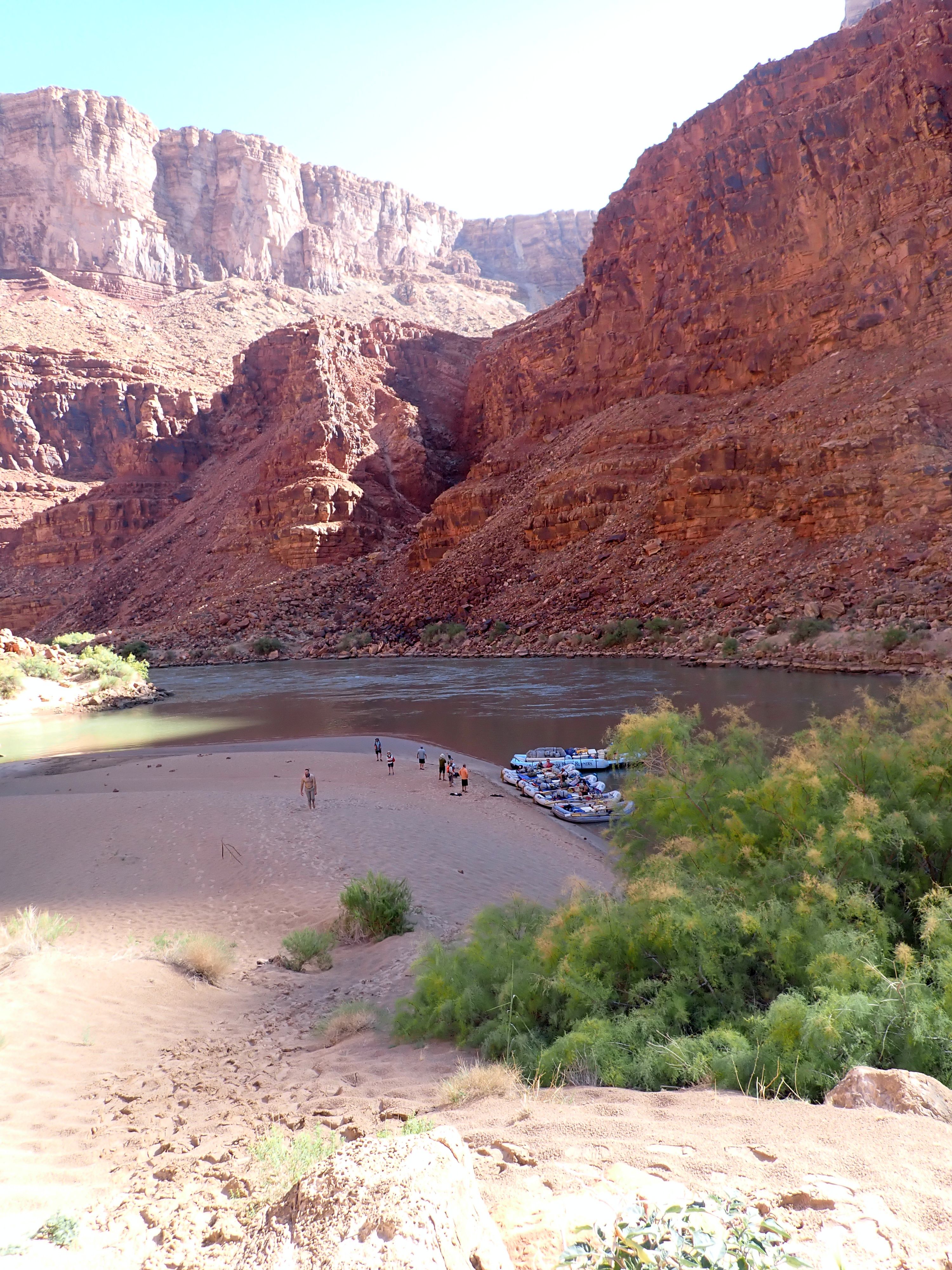 Suzanna Travels to the Grand Canyon