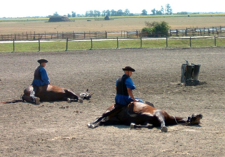 Kalocsa Equestrian Show