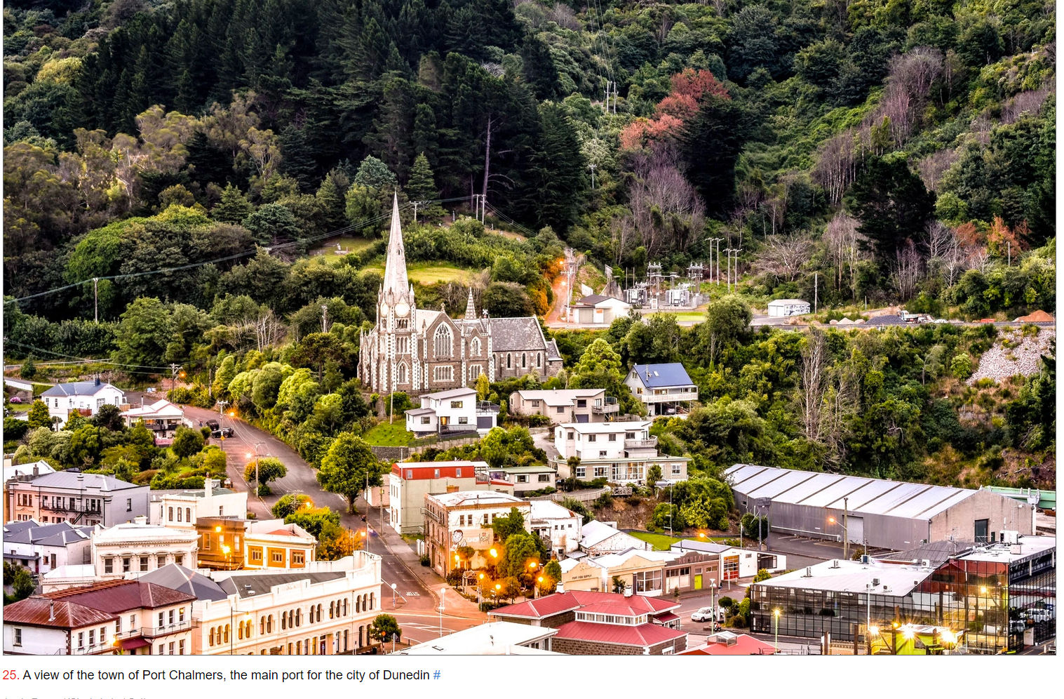 Dunedin