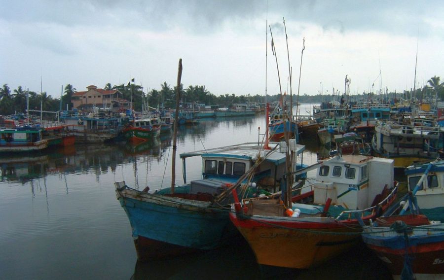 Suzanna Travels to Sri Lanka