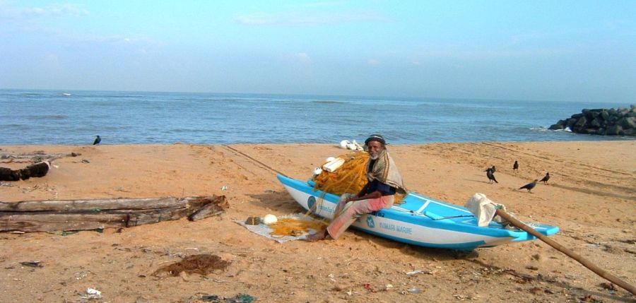 Suzanna Travels to Sri Lanka