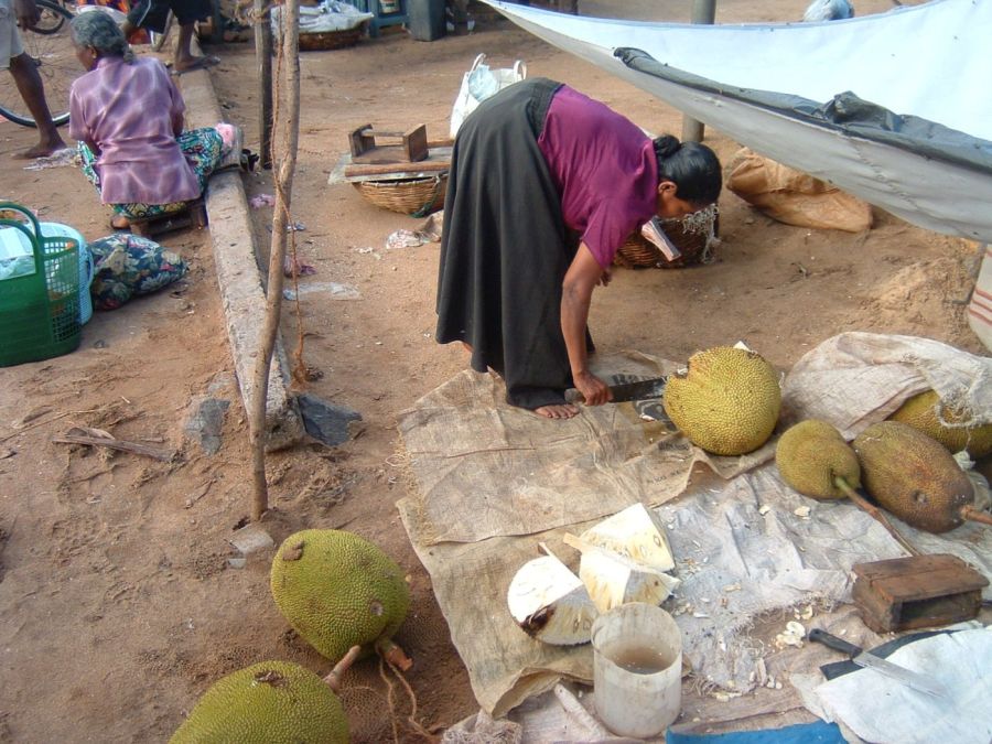 Suzanna Travels to Sri Lanka