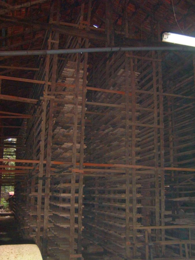 Suzanna Travels to Sri Lanka