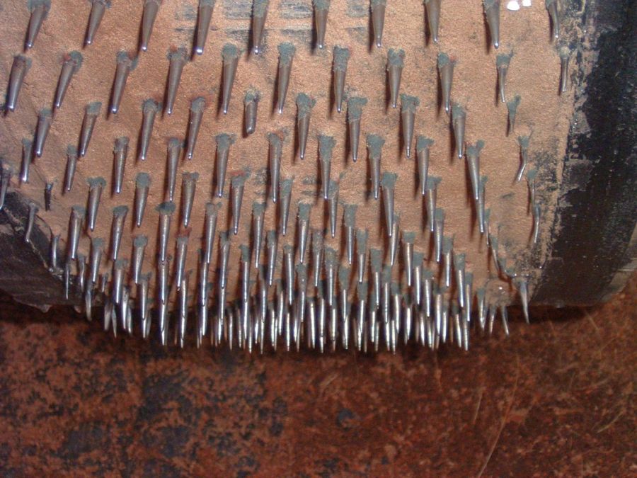 Suzanna Travels to Sri Lanka