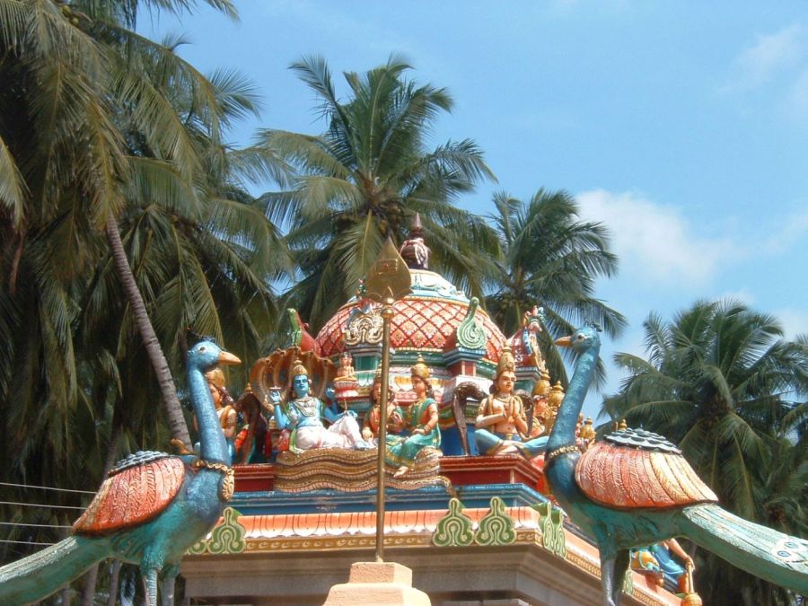 Suzanna Travels to Sri Lanka