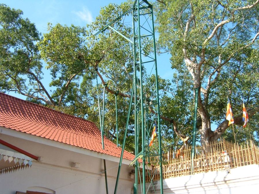 Suzanna Travels to Sri Lanka