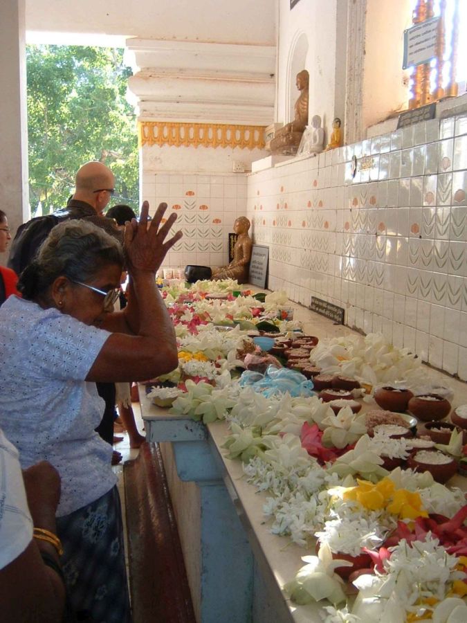 Suzanna Travels to Sri Lanka