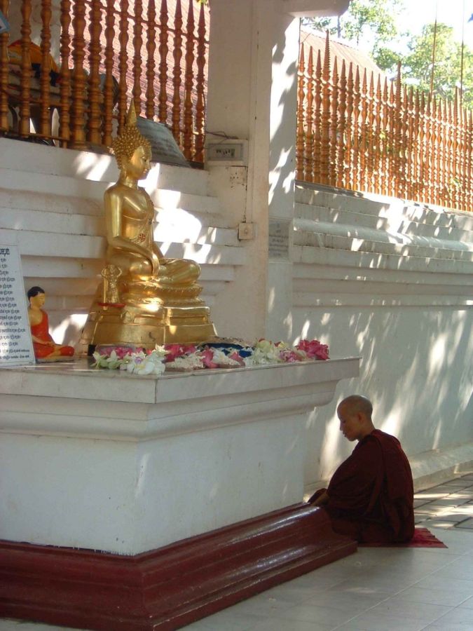 Suzanna Travels to Sri Lanka