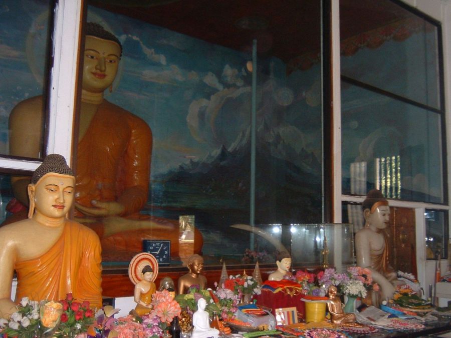 Suzanna Travels to Sri Lanka