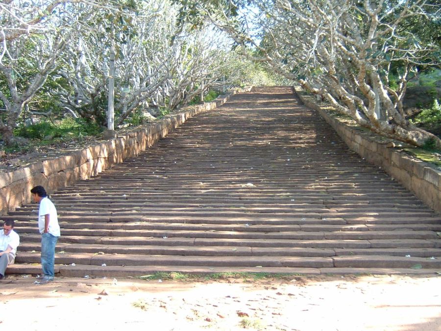 Suzanna Travels to Sri Lanka