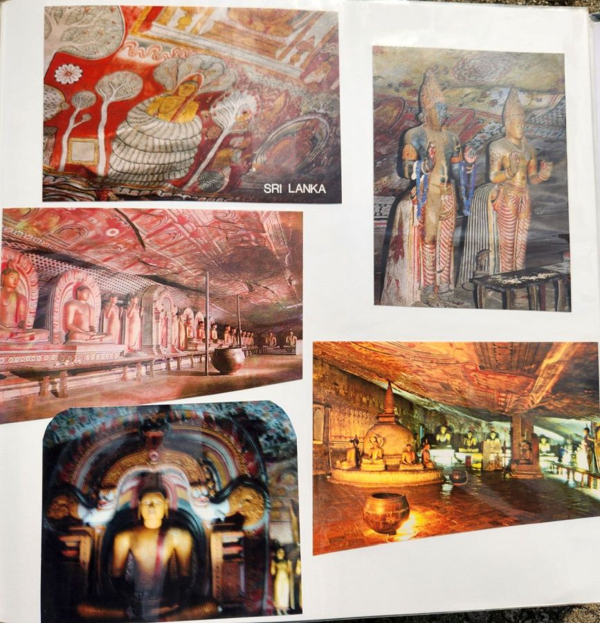 Suzanna Travels to Sri Lanka