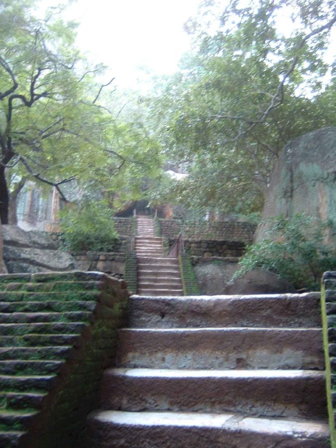 Suzanna Travels to Sri Lanka