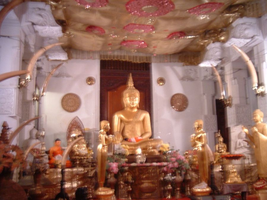 Suzanna Travels to Sri Lanka