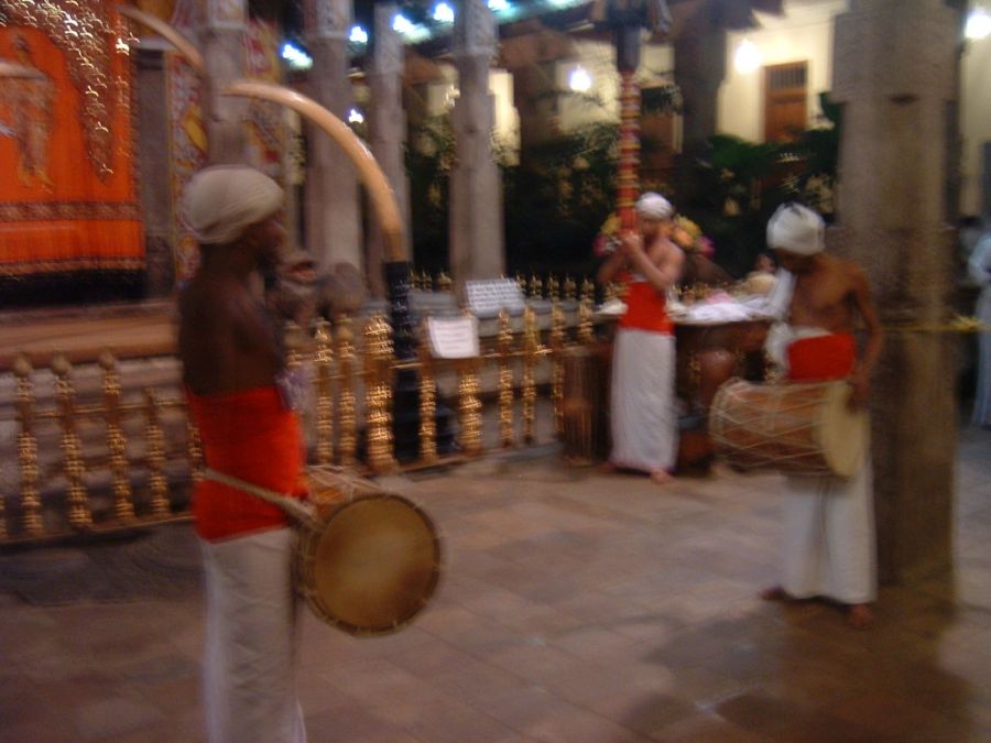 Suzanna Travels to Sri Lanka