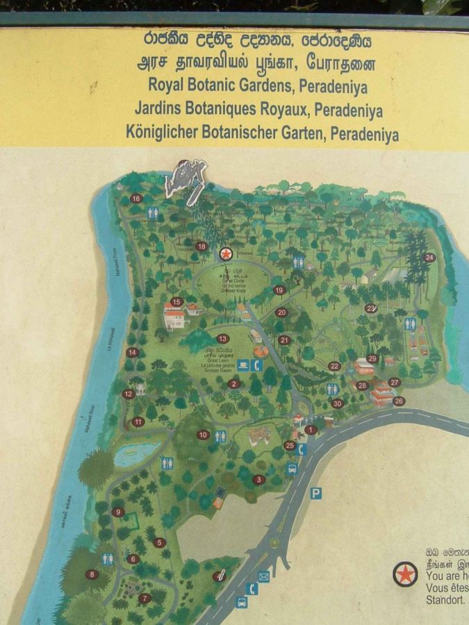 Suzanna Travels to Sri Lanka