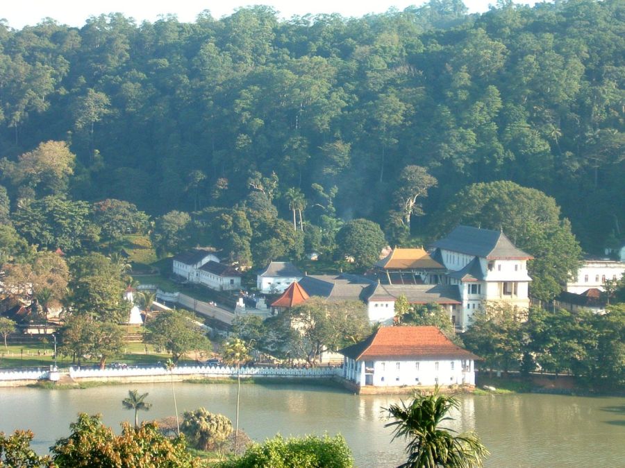 Suzanna Travels to Sri Lanka