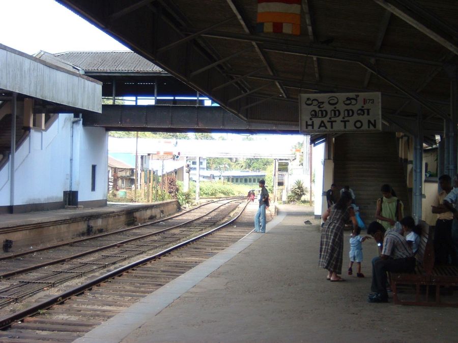 Suzanna Travels to Sri Lanka