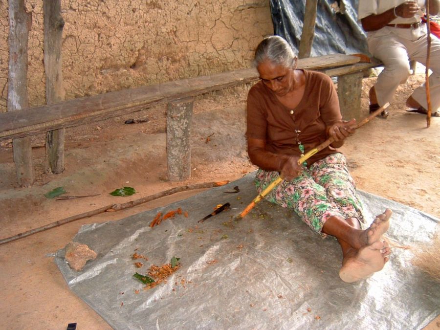 Suzanna Travels to Sri Lanka